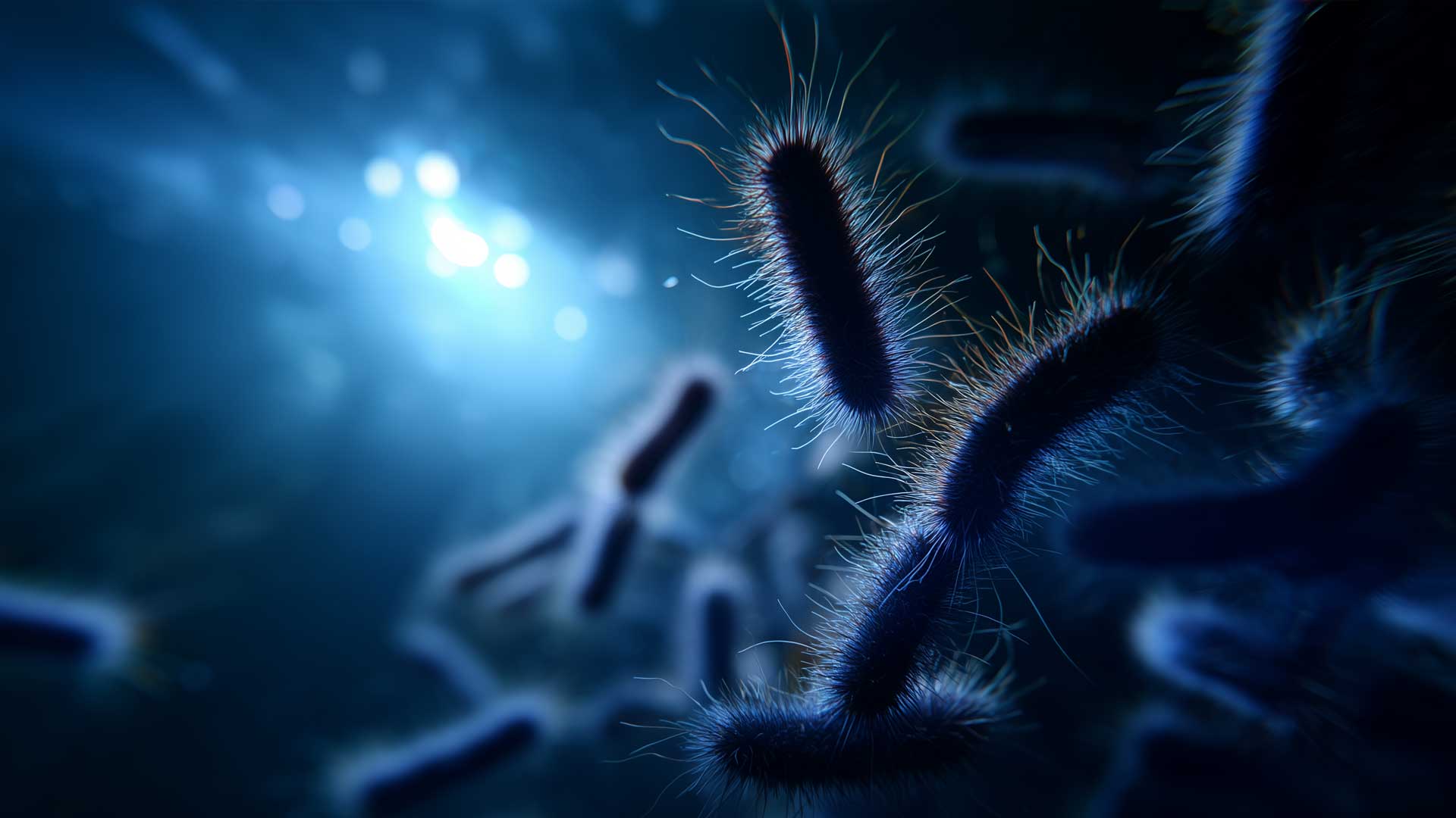 Modré světlo – ochrana a rovnováha